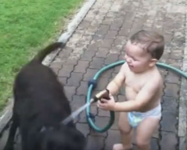 These Babies Laughing At Their Pets Will Make Your Day