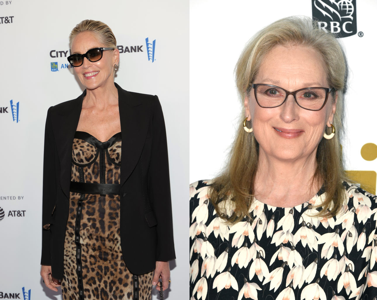 Sharon Stone Subtly Disses Meryl Streep During Interview Saying Others Could Be Icons Too