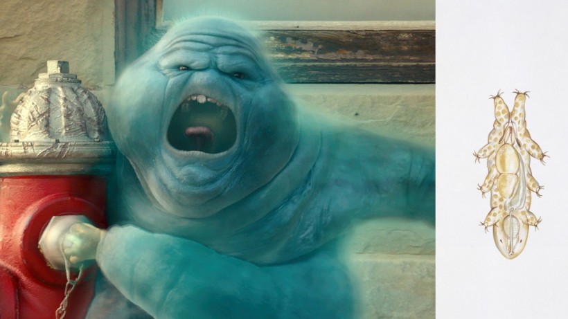 Muncher From Ghostbusters: Afterlife Compared To A Tardigrade