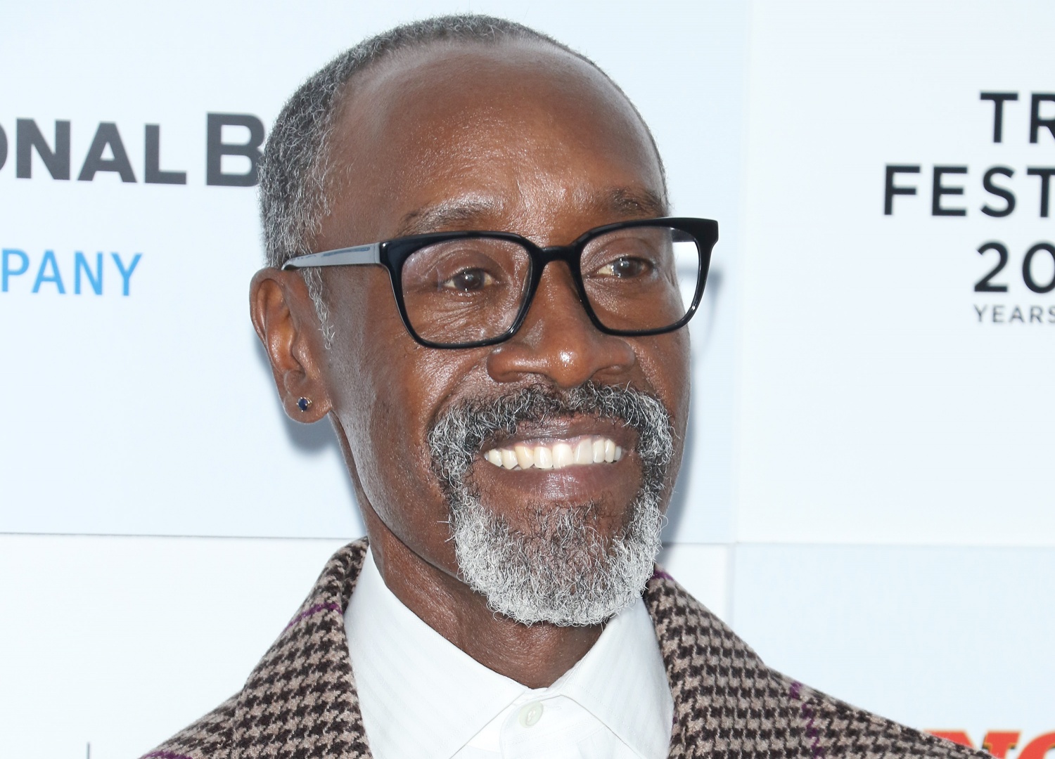  Actor Don Cheadle attends the "No Sudden Move" premiere during the 2021 Tribeca Festival at The Battery on June 18, 2021 in New York City. (Photo by Jim Spellman/WireImage,)