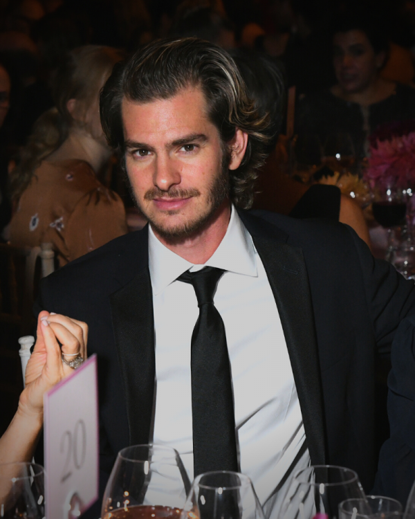 andrew garfield could have played prince caspian