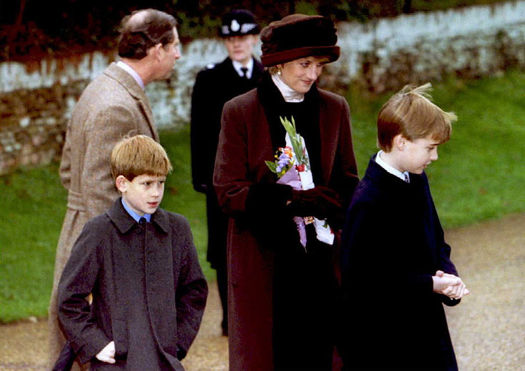 Princess Diana, Prince William, Prince Harry