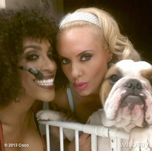 Coco & Spartacus PHOTOS: Ice-T Wife Loves Her Dogs | Enstars