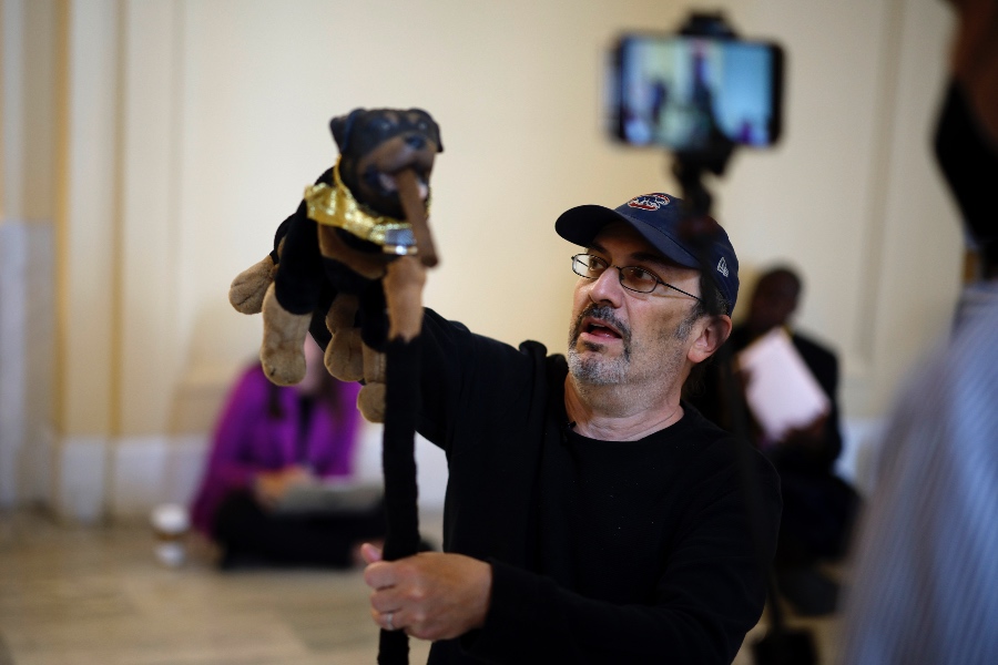 insult comic dog colbert arrested