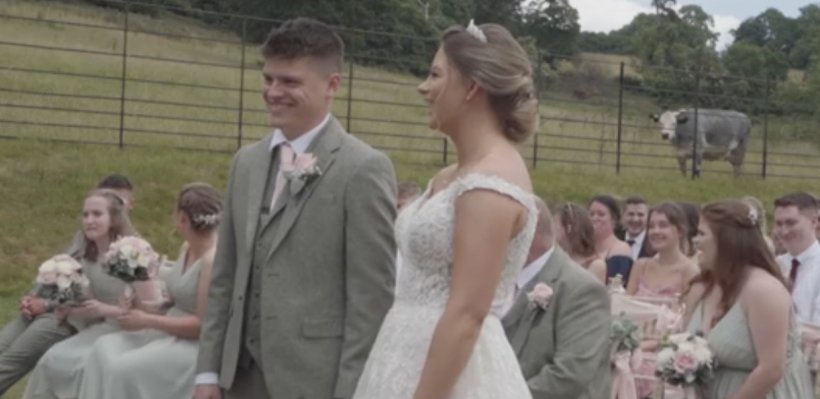 Cow objects to couple's union during wedding ceremony. 