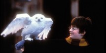  Harry Potter and The Sorcerer's Stone - Movie Stills