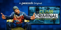So Dumb It's Criminal Snoop Dog Key Art