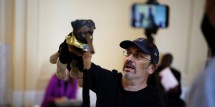 insult comic dog colbert arrested